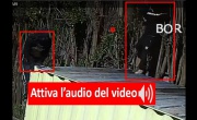 Furto sventato presso azienda CLAMAR ITALIA Caserta (CE) - Sistema BOR Security - YouTube