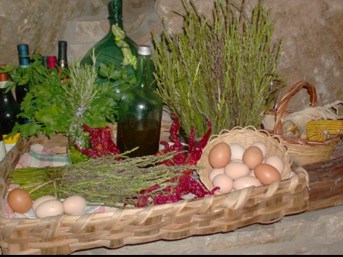 PER I CURIOSI DI NATURA e GASTRONOMIA  Festa degli asparagi 