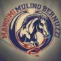 Logo Mangimi Mulino Bernuzzi Snc