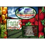 Logo Frutta3
