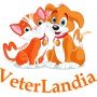 Logo VeterLandia Ambulatorio Veterinario