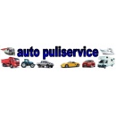 Logo Auto Puliservice