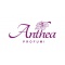 Logo social dell'attività ANTHEA PROFUMI RIETI