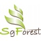 Logo social dell'attività SgForest di Sensi Giancarlo Officine Meccaniche