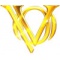 Logo social dell'attività valore oro compro oro e metalli preziosi
