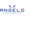 Logo social dell'attività Angelo Impianti 
