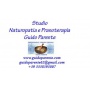 Logo Studio Naturopatia e Pranoterapia - Dr Guido Parente