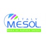 Logo M.E.SOL. ITALY