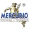 Logo social dell'attività ist. Mercurio