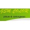Logo social dell'attività gsm.color
