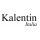 Logo piccolo dell'attività KALENTIN Italia
