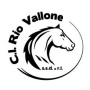 Logo Centro Ippico Rio Vallone SSD a RL - Scuola equitazione Inglese/Western/Pony