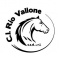 Logo social dell'attività Centro Ippico Rio Vallone SSD a RL - Scuola equitazione Inglese/Western/Pony