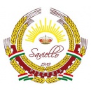 Logo Pizzeria Saviello