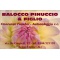 Logo social dell'attività BALOCCO PINUCCIO & FIGLIO  - Onoranze Funebri