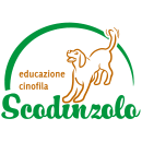 Logo SCODINZOLO 
