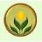 Logo social dell'attività Fiori e d' Intorni