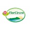 Logo social dell'attività FLORCIRCEOPM SRL