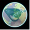 Logo social dell'attività ecosystembeach