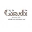 Logo GIADI