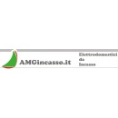 Logo amgincasso.it