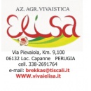 Logo Vivai Elisa
