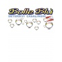 Logo BOLLE BLU