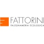 Logo Mobilificio Fattorini Srl - Falegnameria Ecologica Certificata