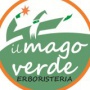 Logo IL MAGO VERDE DI DOMENICO BALZANO