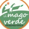 Logo social dell'attività IL MAGO VERDE DI DOMENICO BALZANO