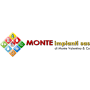 Logo Monte Impianti