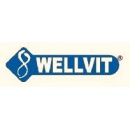 Logo wellvit