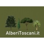 Logo AlberiToscani