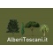 Logo social dell'attività AlberiToscani