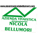 Logo nicola bellumori