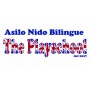 Logo Asilo Nido Bilingue "The Playschool"  www.theplayschool.it