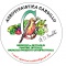 Logo social dell'attività Agrovivaistica Cardillo