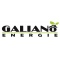 Logo social dell'attività Galiano Energie sas