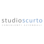 Logo Studio dott. Roberto Scurto | Consulenti Aziendali