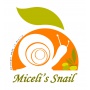 Logo "Miceli's Snail" Allevamento e Vendita lumache da gastronomia Burgio AG Sicily