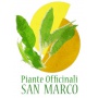 Logo Piante Officinali San Marco