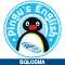 Logo social dell'attività Pingu's English Bologna