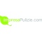 Logo social dell'attività impresapulizie.com