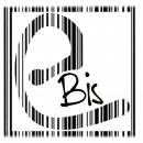 Logo Ebis informatica