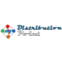 Logo Distribution Point agenzia di volantinaggio e non solo
