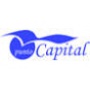 Logo Tutela aziende contro usura bancaria Punto Capital