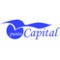 Logo social dell'attività Tutela aziende contro usura bancaria Punto Capital