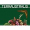 Logo social dell'attività Terraustralis srl