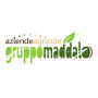 Logo GRUPPO MADDALO SRL