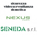 Logo Nexus by Seneda